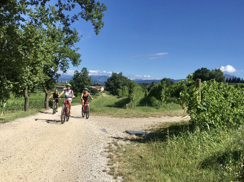 Lazise: Bike Tour and Wine Tasting