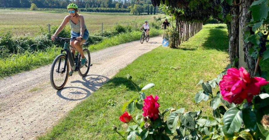 Lazise: Countryside E-Bike Tour With Wine Tasting