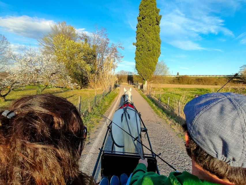 3 Best Tours In Lazise