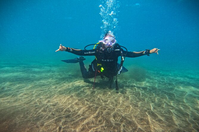 Learn Scuba Diving in Tenerife With Photos Included