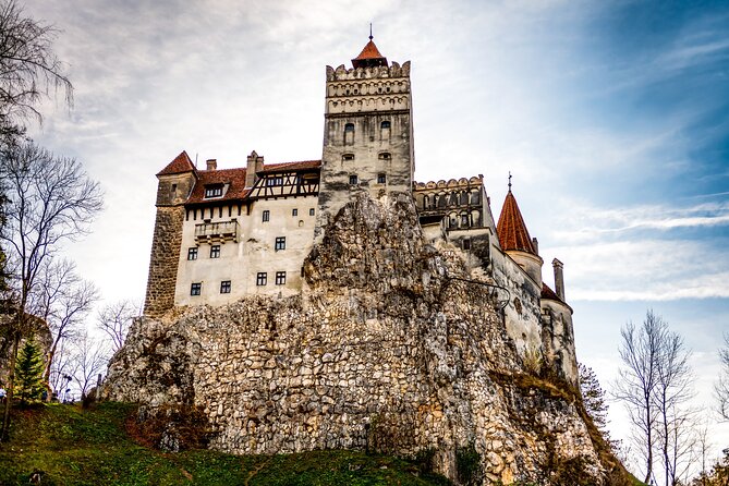 Legends&Wildlife Awaits: Draculas Castle & Bear Sanctuary