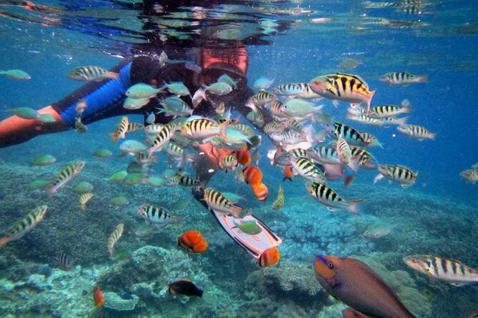 Lembongan Snorkeling and Island Tour
