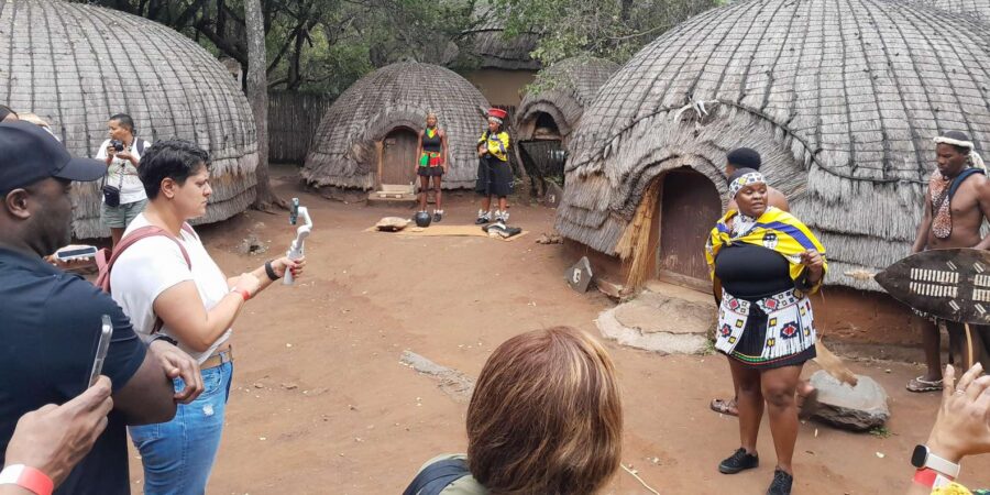 Lesedi Cultural Village and Lion Park Private Tour