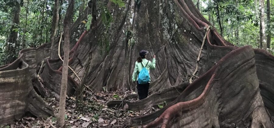 Leticia: Amazing Three Day Jungle Tours - Tour Overview and Pricing