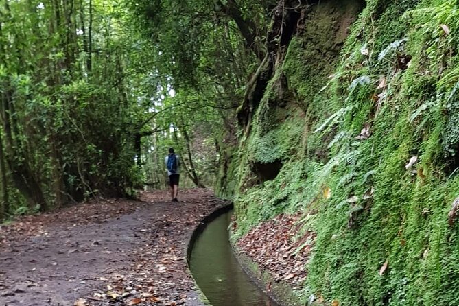 Levada Do Rei - Ribeiro Bonito (Full Day Walk)