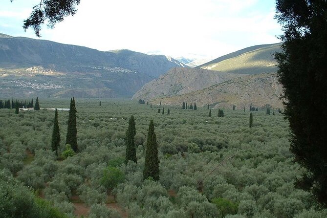 Liapades Private Guided Beaches and Olive Grove Hike - Corfu