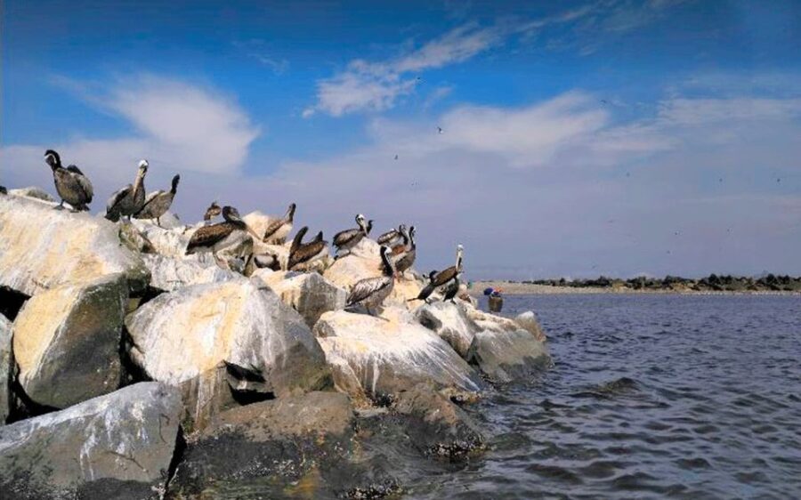 20 Best Full-Day Tours In Lima