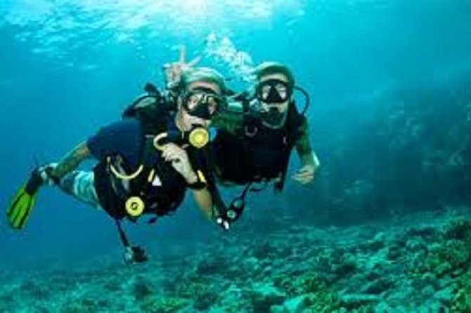 Lisbon Active Tourism – Diving in Arrábia – Sesimbra