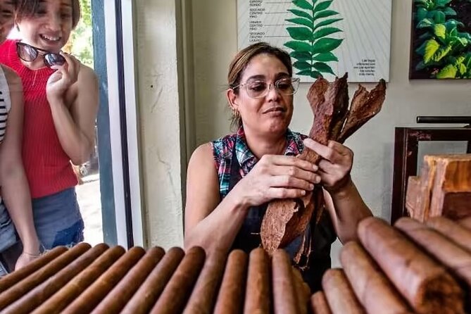 Little Havana Walking Tour + 1 Hour Everglades Airboat Ride - Inclusions
