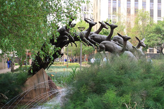 LocalPlaces Understanding Johannesburg Walking Tour - Tour Overview