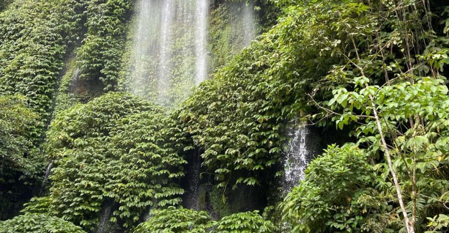 Lombok: Benang Kelambu Waterfall Tour