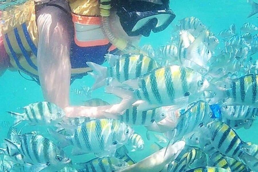 Lombok : Gili Nanggu, Sudak & Kedis Private Snorkeling Tour