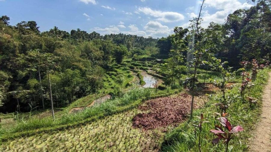5 Best Tours In Tetebatu