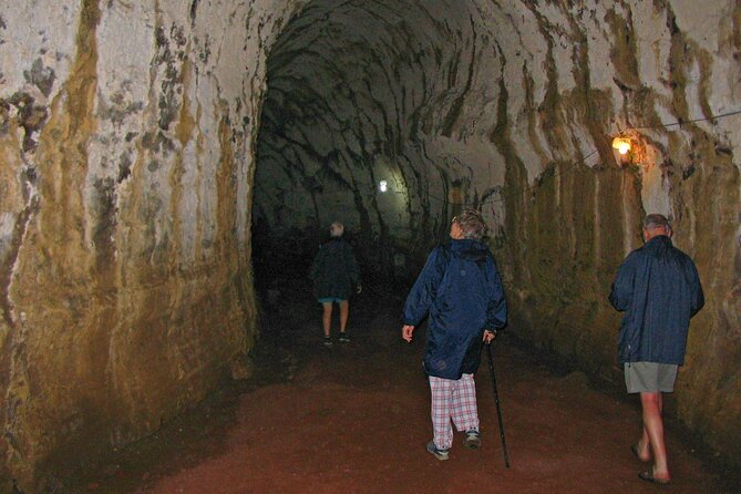 Lonesome George Adventure