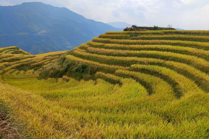 Longji Rice Terraces Day Tour From Guilin Hotel
