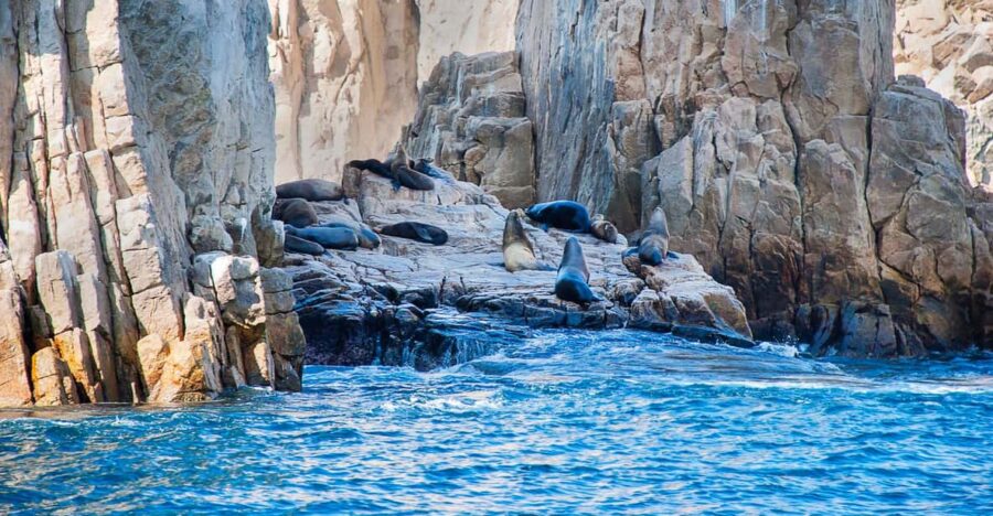 Los Cabos: Tour of Rock Formations and Snorkeling