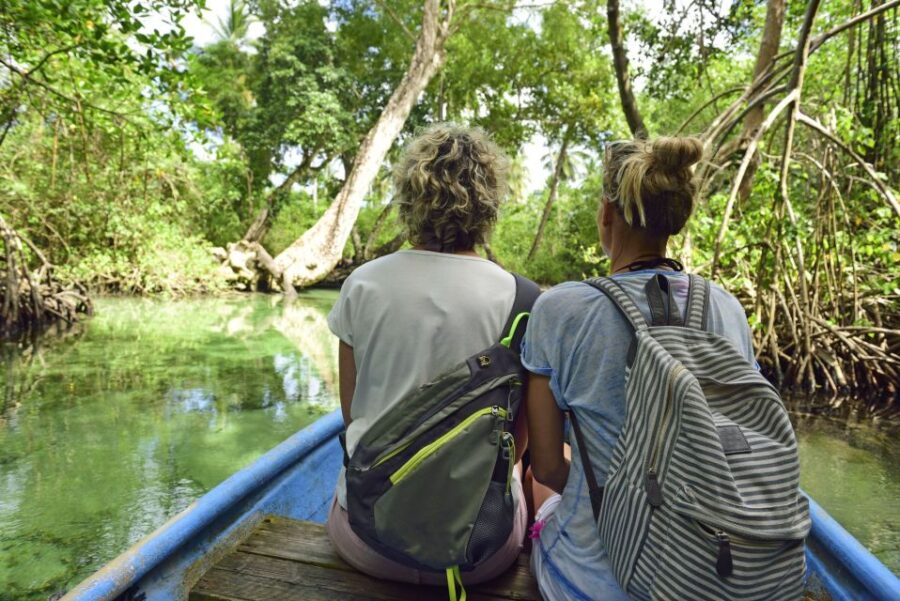 Los Haitises: Cacao & Coffee Rainforest Hike/Boat Tour