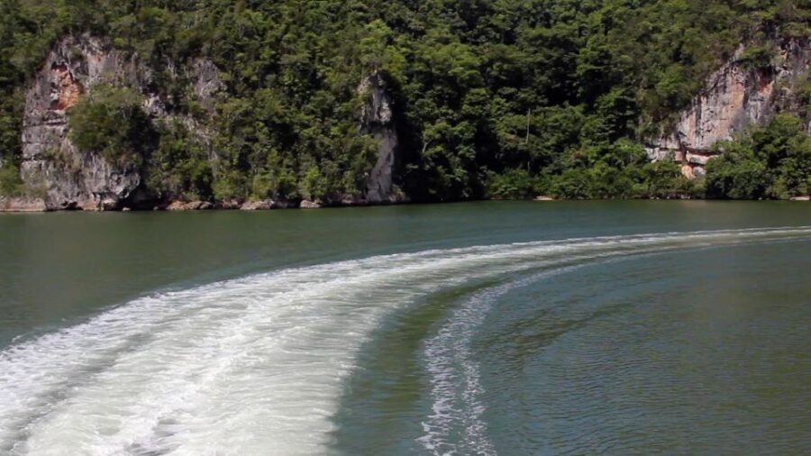 Los Haitises National Park: Boat and Walking Tour With Lunch