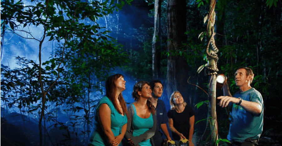 Los Haitises Night Hike in the Rainforest - Activity Overview