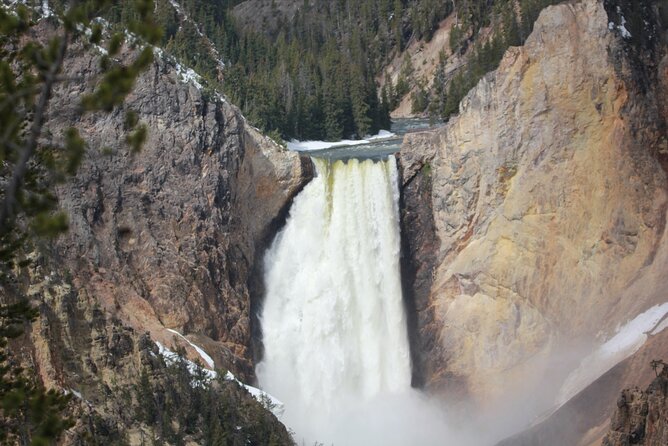 Lower Loop Yellowstone Wildlife Scenic – Jackson Hole Day Tour | WY