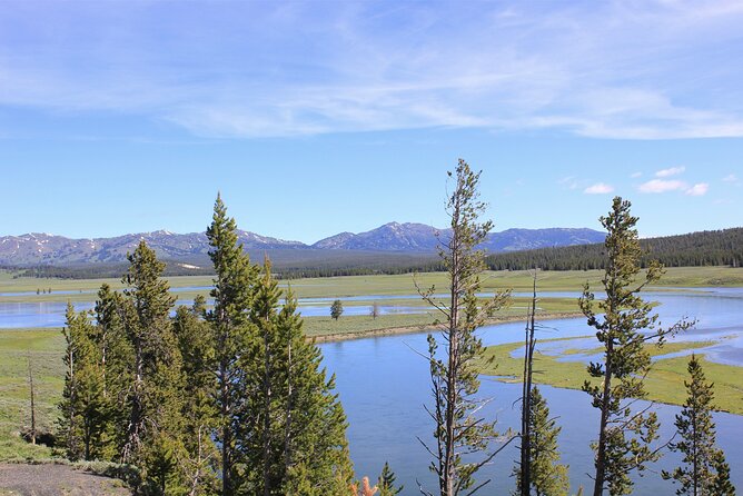 Lower Loop Yellowstone Wildlife Scenic - Jackson Hole Day Tour | WY - Exploring Yellowstones Lower Loop