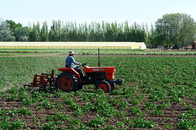 Lower Valley of Chubut River: Welsh Heritage – Puerto Madryn