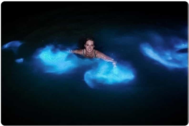 Luminous Lagoon : Night Tour From Falmouth Hotels and Villas