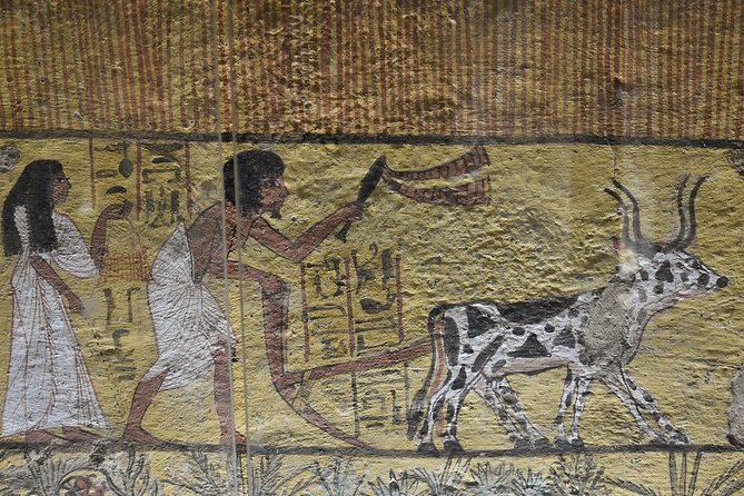 Luxor Dendera Tour With a Felucca From Hurghada by a Private Car
