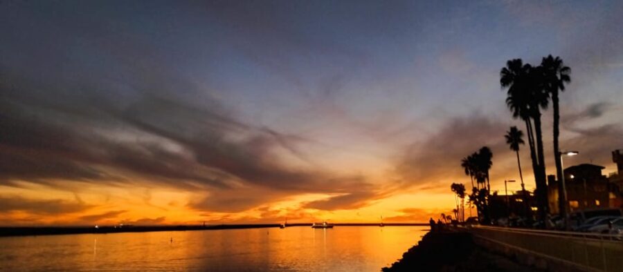Luxury Boat Cruise, Healing Tea & Zen Music for the Soul