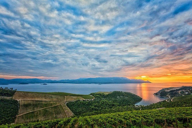 Luxury Private Transfer Dubrovnik - Split With Lunch in Ston