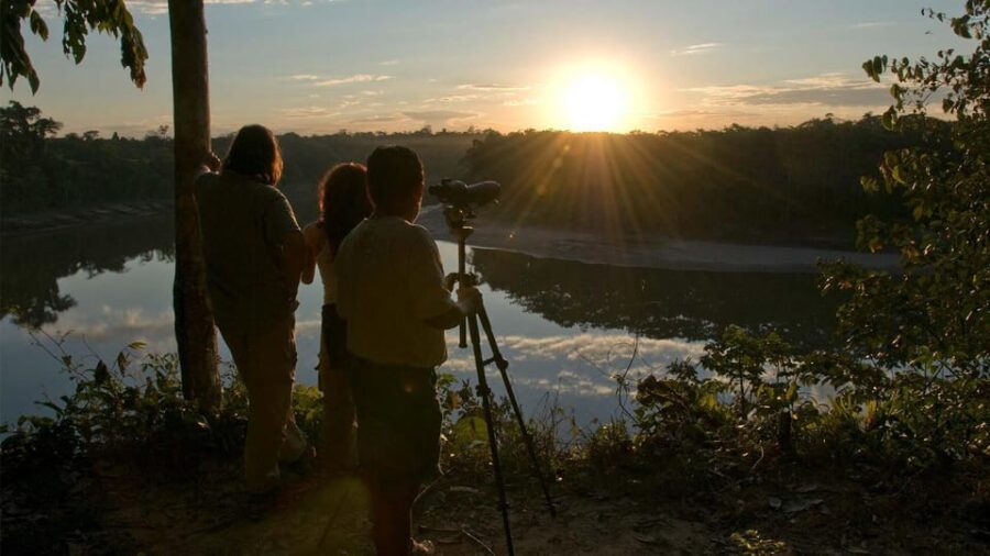 Macaw Clay Lick 2D Excursion | Sunset in the Jungle |