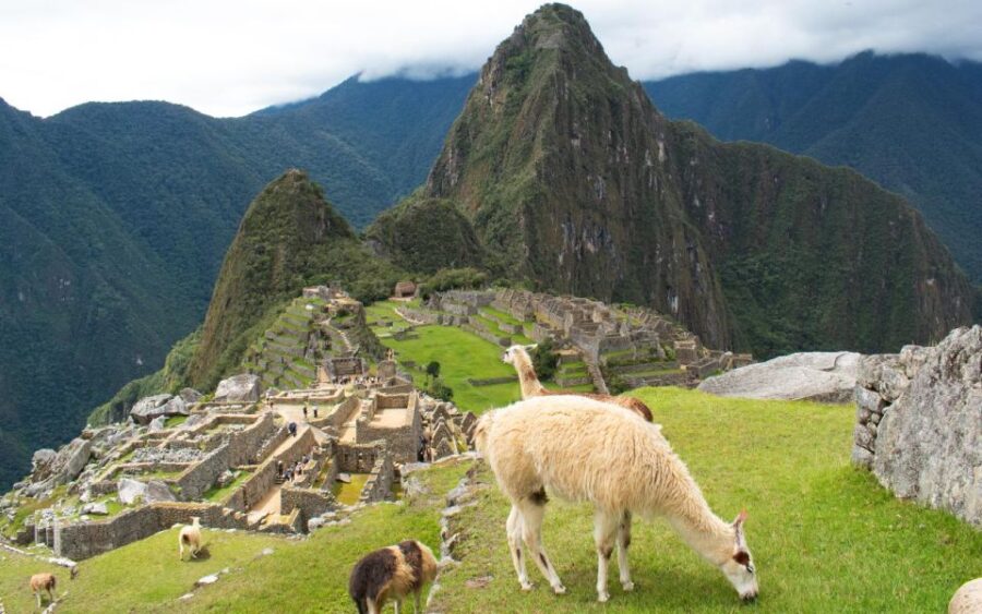 Machu Picchu: 1-Day Tour by Vistadome Observatory Train