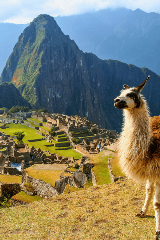 Machu Picchu Full Day