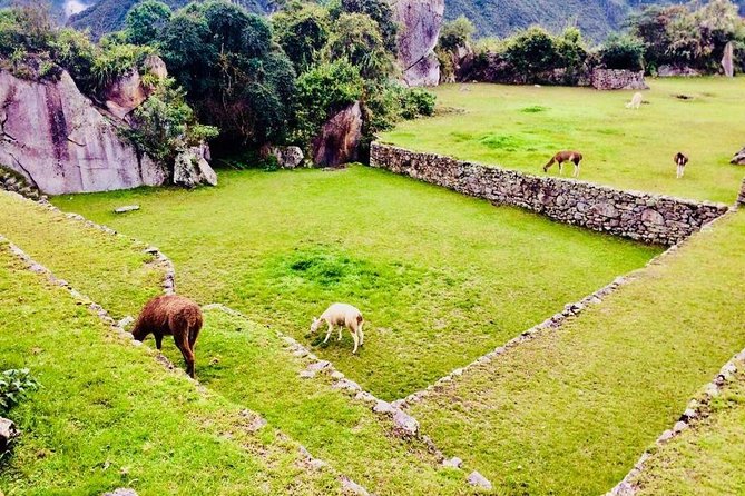 Machu Picchu Wonder of the Modern World - Discovering Cuscos Rich Heritage