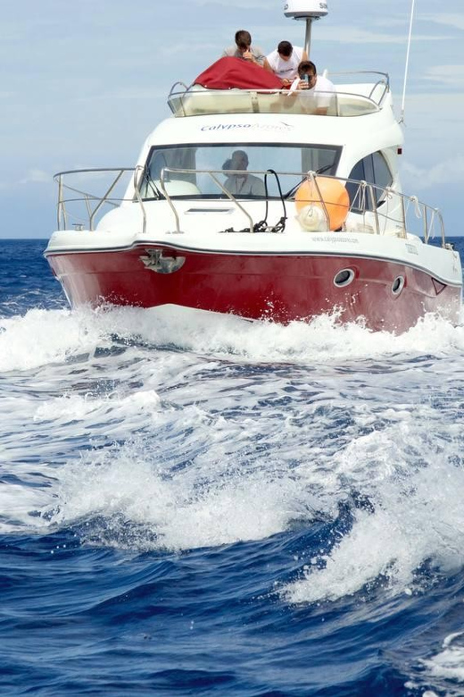 Madeira: Boat Trip