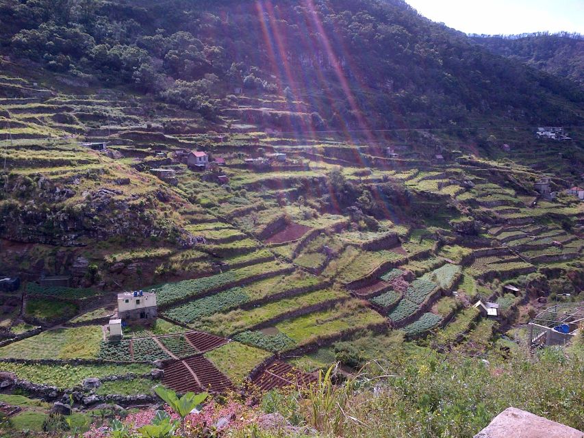 Madeira: Maroços Landscapes 2.5-Hour Guided Walk - Tour Overview and Pricing