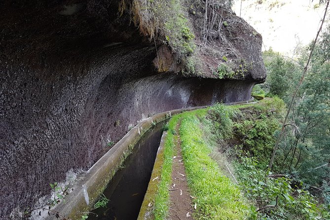 Madeira: Private Camacha Levada Do Tornos Walk