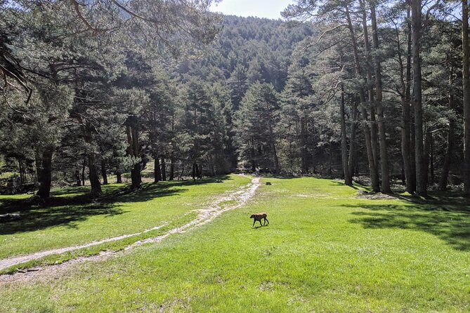 Madrid Mountains Free Walking Tour