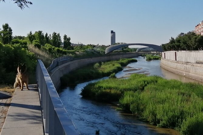 Madrid'S Golden Age: History Along the Manzanares River - Puente De Segovia: Gateway to Madrids Golden Era