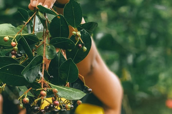 2 Best Canoe And Kayak Experiences In Kalutara