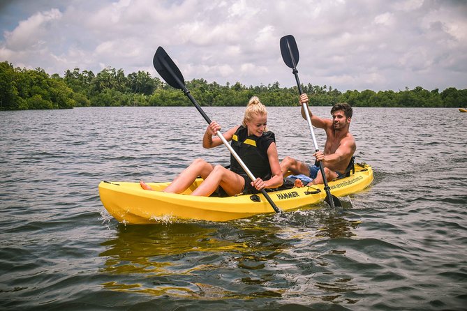 Madu River Sunrise Mangrove Kayaking