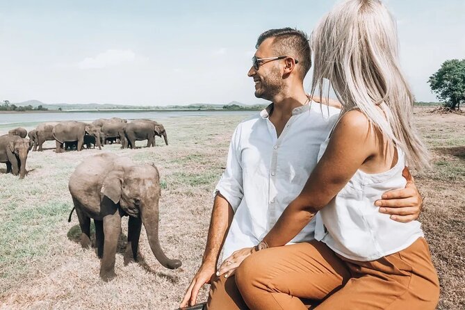 Majestic Mammals Of Sri Lanka: Whale & Elephant Safari Tour - Tour Overview