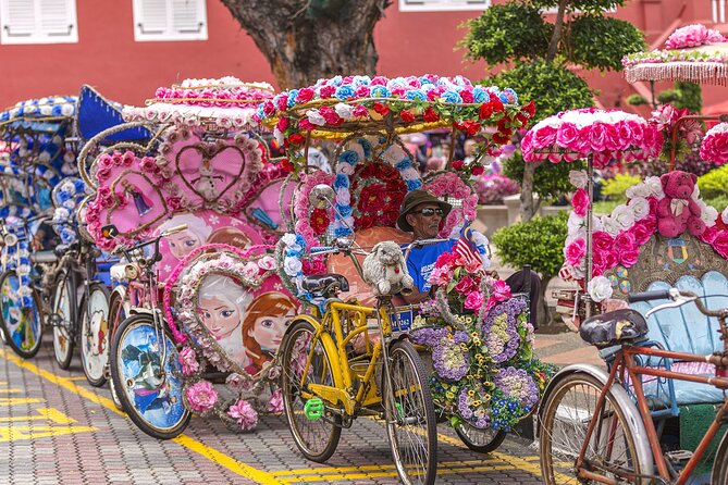 Malacca Historical Private Tour With Personal Chauffeur - Tour Overview