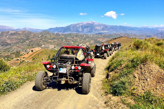 Malaga Shore Excursion: Panoramic Buggy Tour With Wine Tasting in a Historical Cellar - Winemaking and Viticulture
