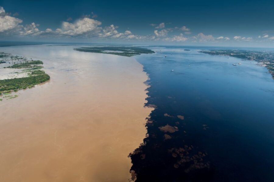 Manaus: Meeting of the Waters & Pink Dolphin Tour With Lunch