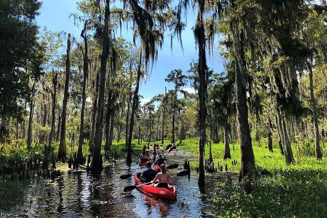 Manchac Swamp Kayak Tour for Experienced Kayakers With Pickup