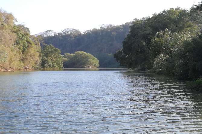 Mangrove Kayak