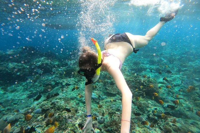 Manta Bay Snorkeling Adventure With Kelingking Beach Nusa Penida All Inclusive - Overview of the Adventure