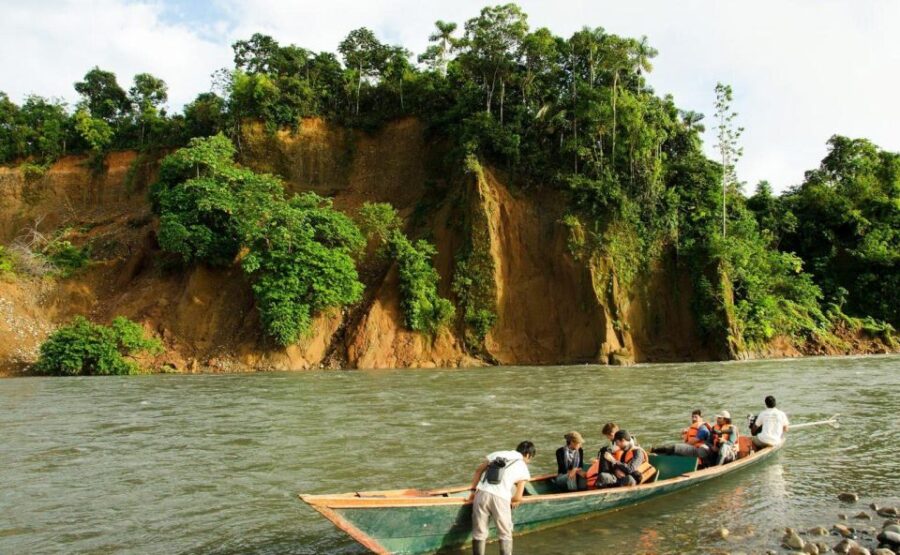 Manu Rainforest Tour 6 Days