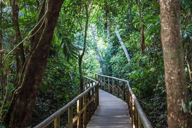 Manuel Antonio National Park Full Day Tour From San José - Pickup and Breakfast